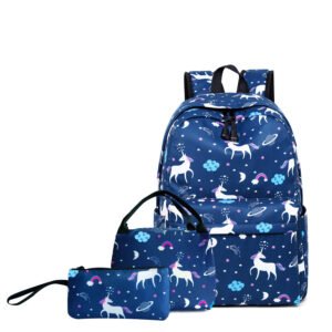 2021 Aulandi backpack for school student